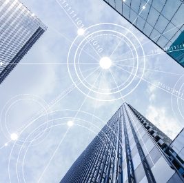 外資企業(yè)設立